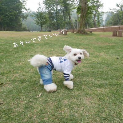 JkZsNQYs.png