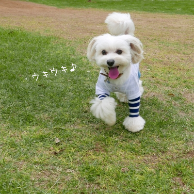 UIFSHjhV.png
