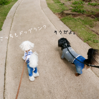 VLJi2yg2.png