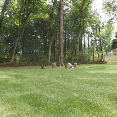 P1560611.jpg