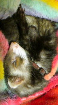 20080414073518.jpg