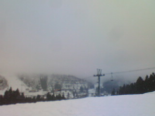 200901311630000.jpg