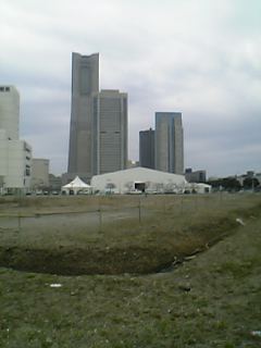 20060306_24665.jpg