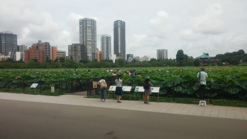 2017072903.jpg