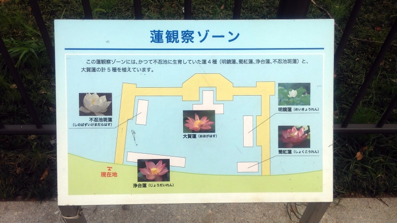 2017072904.jpg