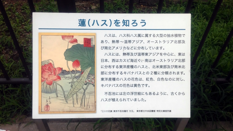 2017072905.jpg