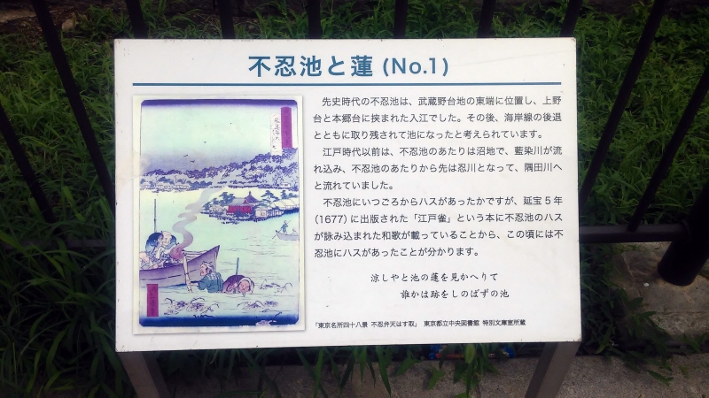 2017072906.jpg