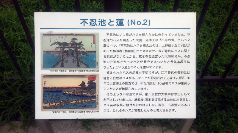 2017072907.jpg