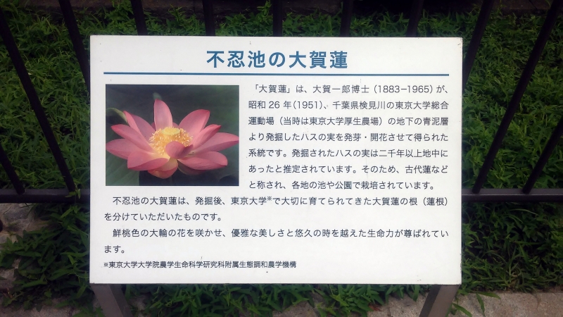 2017072908.jpg