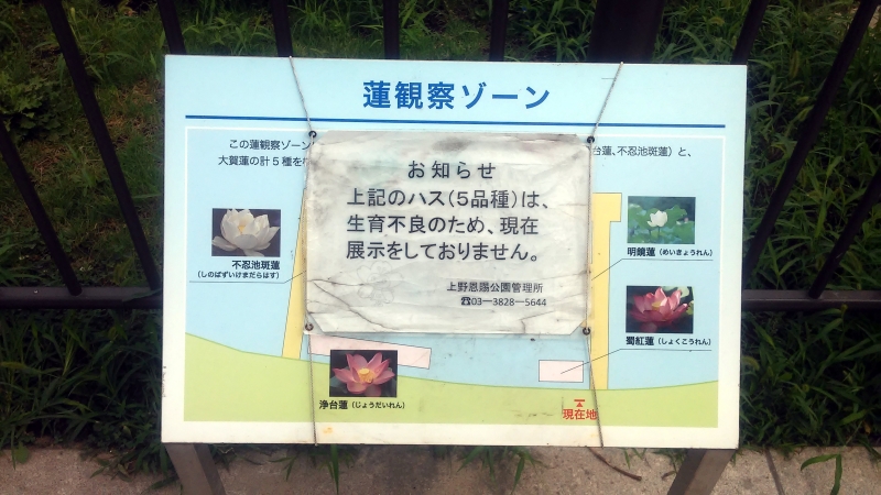 2017072911.jpg