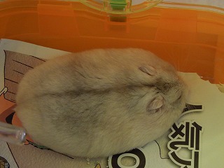 DSCN7582.jpg