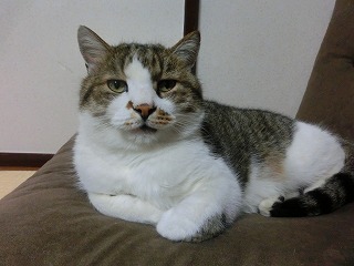 CIMG0541.jpg
