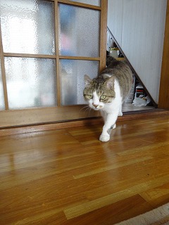 DSC00753.jpg