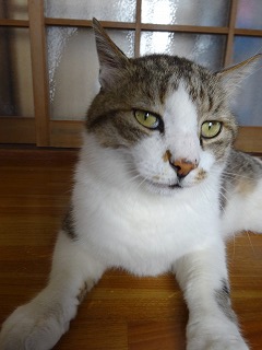 DSC00759.jpg