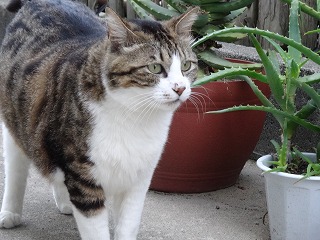DSC00779.jpg