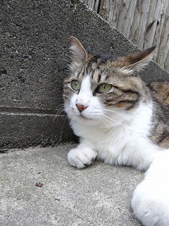 DSC00785.jpg