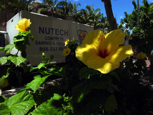 HAWAII
