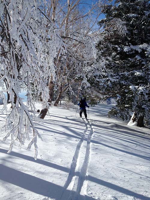 ski