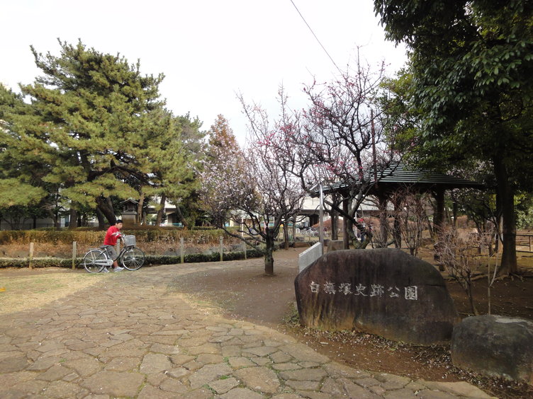 DSC02030.jpg