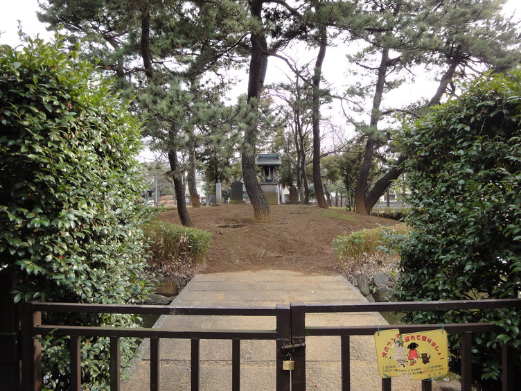 DSC02034.jpg
