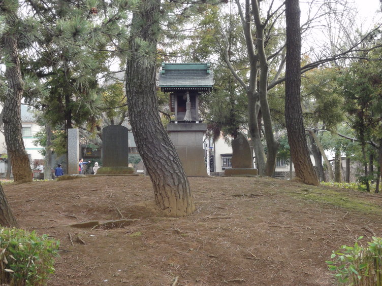 DSC02035.jpg
