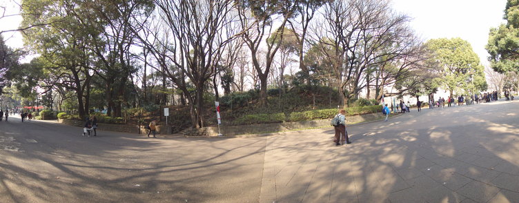 DSC02265.jpg