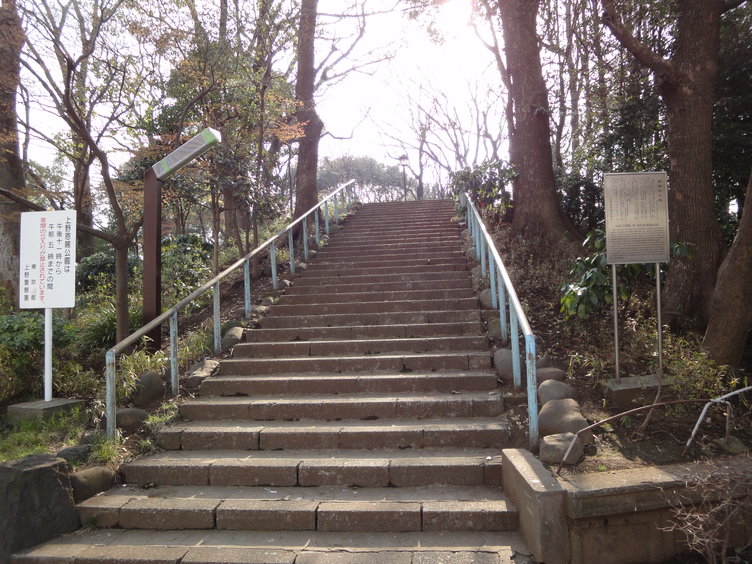DSC02270.jpg