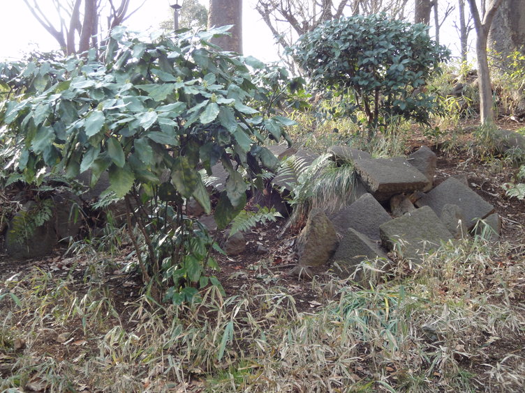 DSC02272.jpg