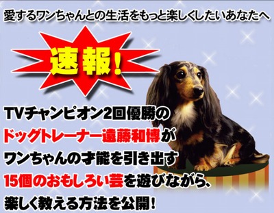 愛犬と楽しく遊ぶ!遠藤和博の犬の芸講座ハッピーDOG
