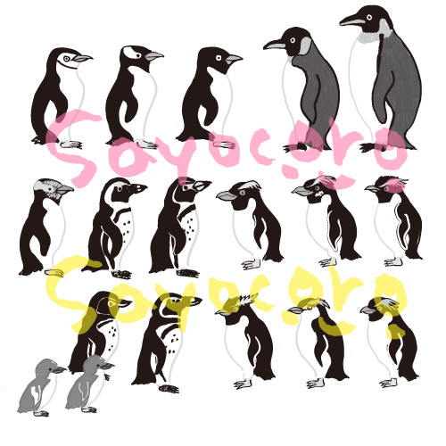 ペンギン18種