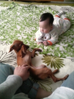 息子とあずき