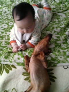 息子とあずき
