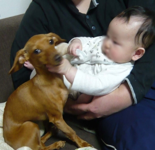 息子とあずき
