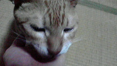 2010040519000000.jpg