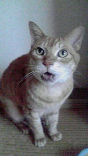2010042011570000.jpg