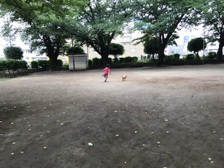 IMG_4981.JPG