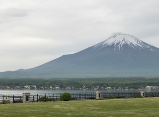 IMG_7375.jpg