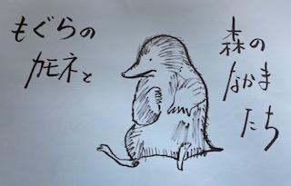 IMG_3868.jpg
