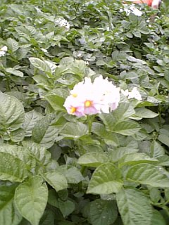 070603_113028.jpg