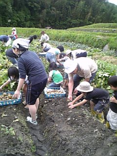 070603_113049.jpg