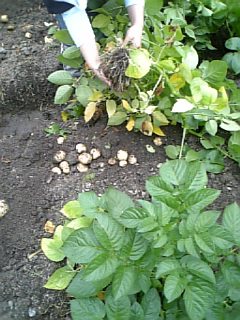 070603_113434.jpg