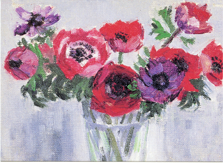 masana-anemone