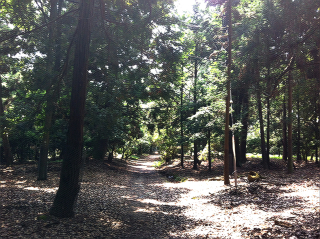 rokuen1