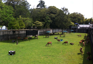 rokuen2