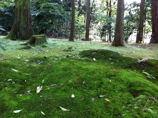 toshodaiji2