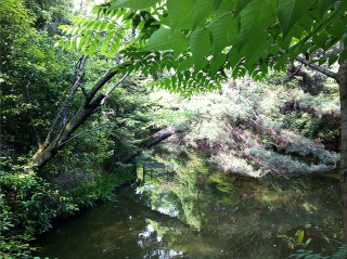 toshodaiji4