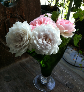 rose