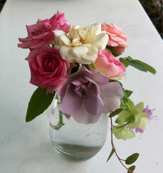 rose