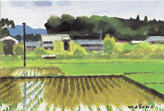 masana近江路の初夏