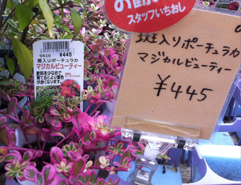 あいあい2